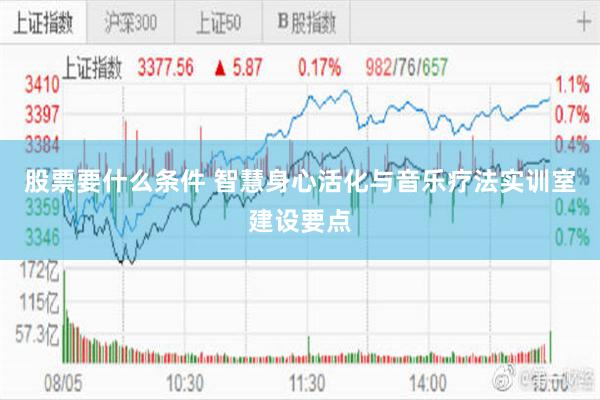 股票要什么条件 智慧身心活化与音乐疗法实训室建设要点