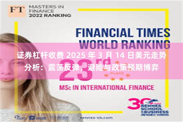 证券杠杆收费 2025 年 3 月 14 日美元走势分析：震荡反弹，避险与政策预期博弈