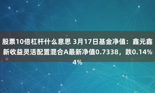 股票10倍杠杆什么意思 3月17日基金净值：鑫元鑫新收益灵活配置混合A最新净值0.7338，跌0.14%