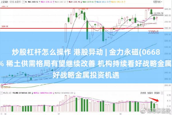炒股杠杆怎么操作 港股异动 | 金力永磁(06680)涨超5% 稀土供需格局有望继续改善 机构持续看好战略金属投资机遇