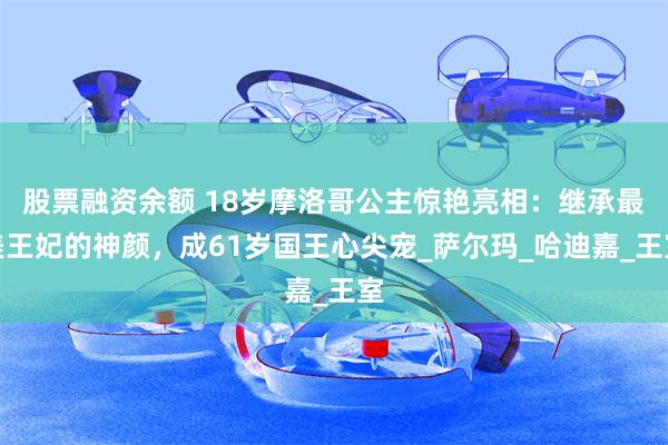 股票融资余额 18岁摩洛哥公主惊艳亮相：继承最美王妃的神颜，成61岁国王心尖宠_萨尔玛_哈迪嘉_王室