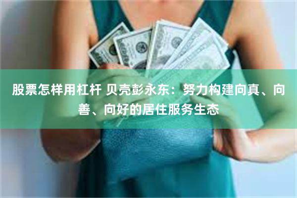 股票怎样用杠杆 贝壳彭永东：努力构建向真、向善、向好的居住服务生态