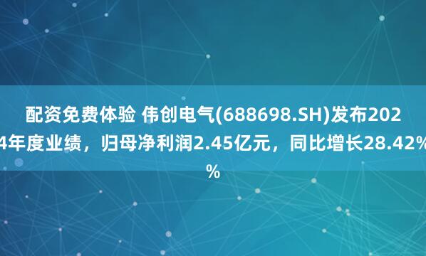 配资免费体验 伟创电气(688698.SH)发布2024年度业绩，归母净利润2.45亿元，同比增长28.42%
