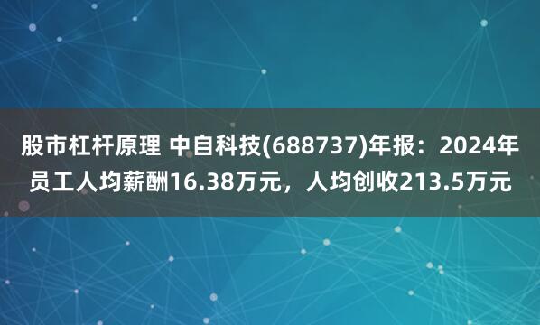 股市杠杆原理 中自科技(688737)年报：2024年员工人均薪酬16.38万元，人均创收213.5万元