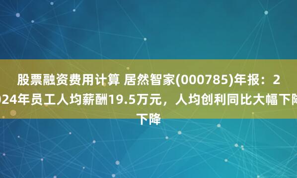 股票融资费用计算 居然智家(000785)年报：2024年员工人均薪酬19.5万元，人均创利同比大幅下降
