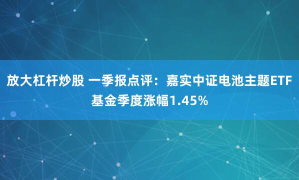 放大杠杆炒股 一季报点评：嘉实中证电池主题ETF基金季度涨幅1.45%