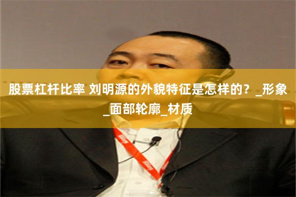 股票杠杆比率 刘明源的外貌特征是怎样的？_形象_面部轮廓_材质