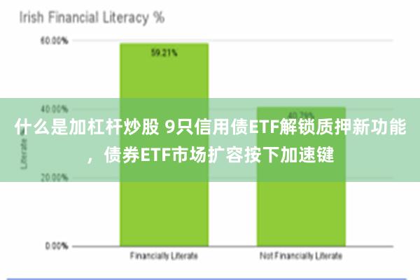 什么是加杠杆炒股 9只信用债ETF解锁质押新功能，债券ETF市场扩容按下加速键