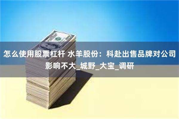 怎么使用股票杠杆 水羊股份：科赴出售品牌对公司影响不大_城野_大宝_调研