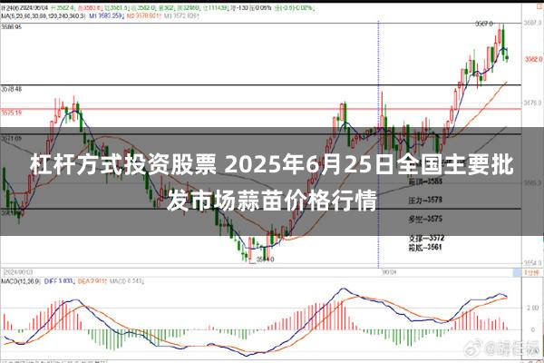 杠杆方式投资股票 2025年6月25日全国主要批发市场蒜苗价格行情