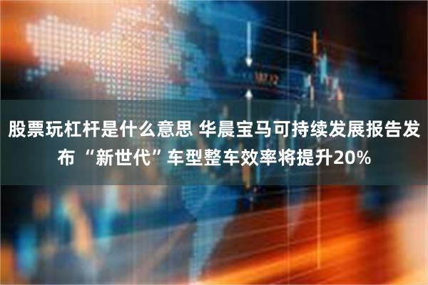 股票玩杠杆是什么意思 华晨宝马可持续发展报告发布 “新世代”车型整车效率将提升20%